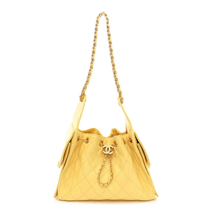 Chanel 25 Hobo with brand box