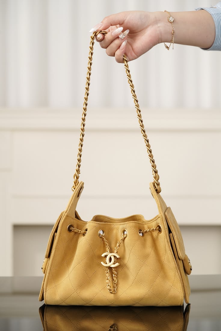 Chanel 25 Hobo with brand box