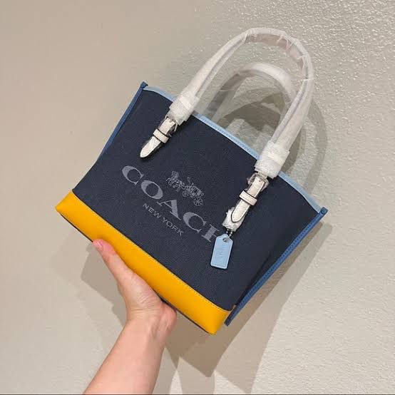 Coach Mollie Tote 25 in Colorblock