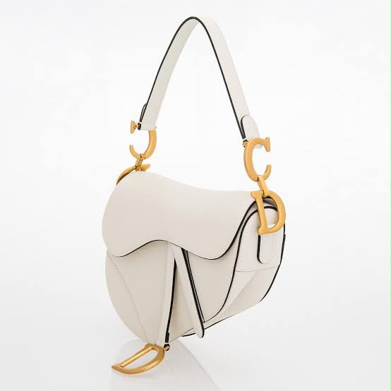 Christian Dior Saddle Bag