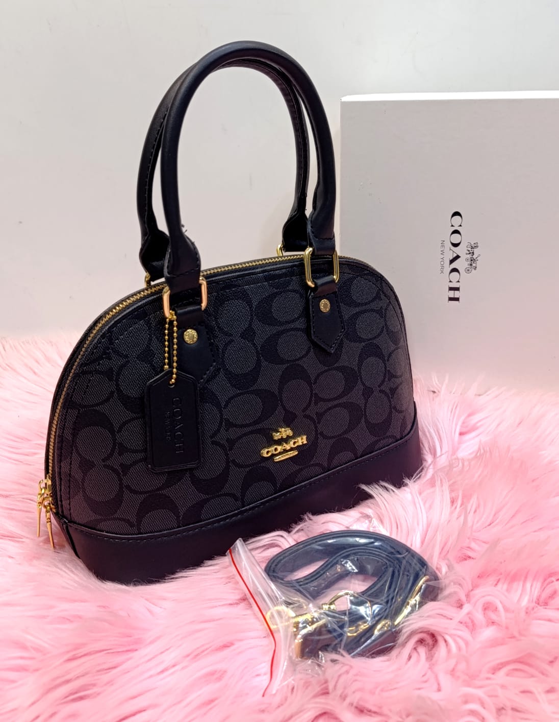 Coach Mini Sierra Satchel