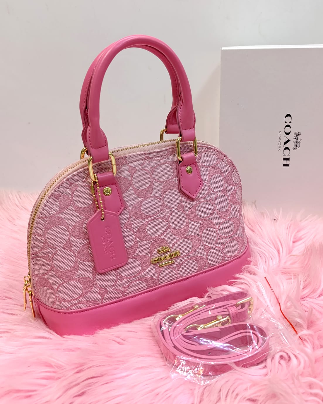 Coach Mini Sierra Satchel