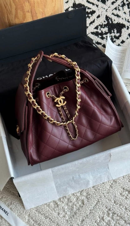 Chanel 25 Hobo with brand box
