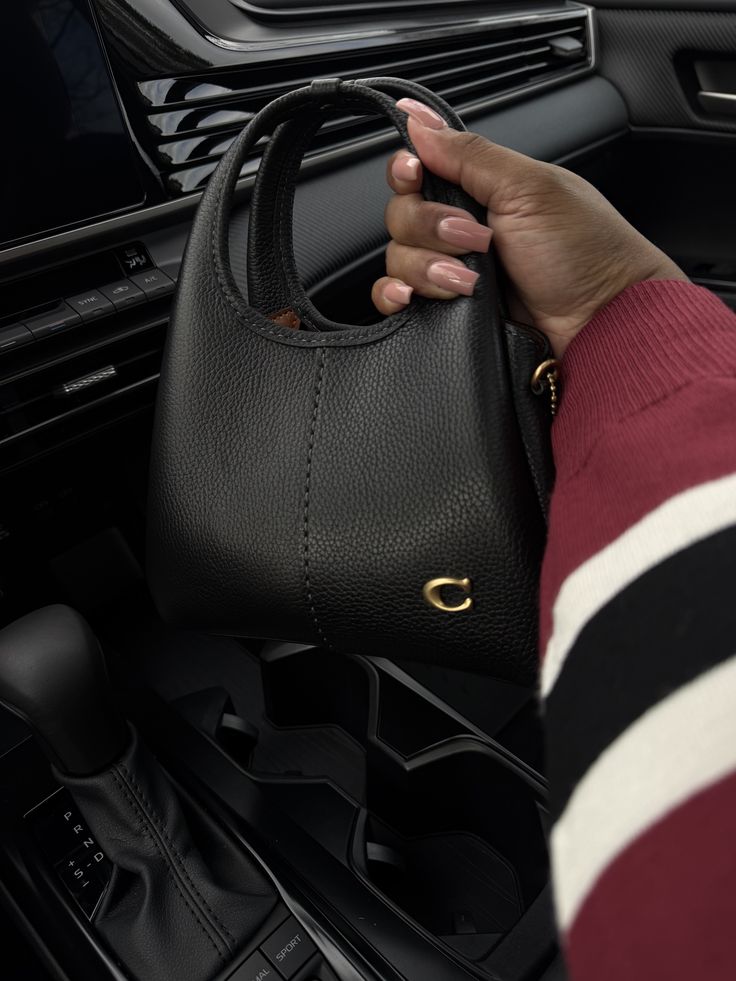 Coach Lana Shoulder Bag 23
