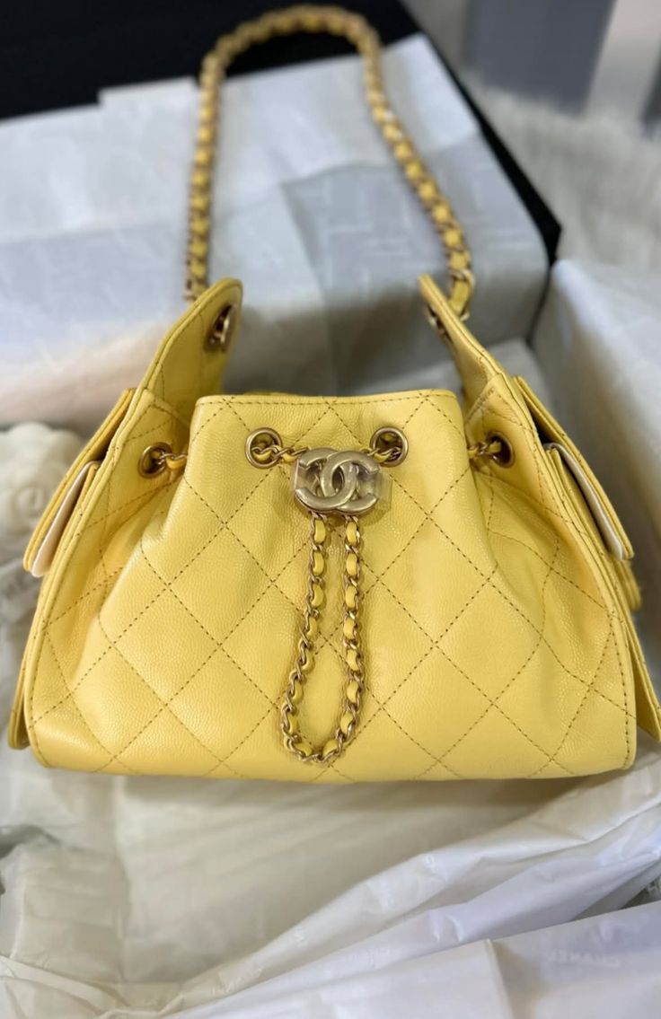 Chanel 25 Hobo with brand box
