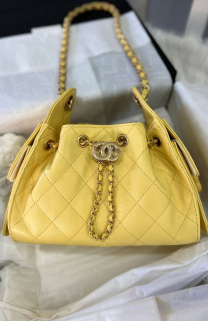 Chanel 25 Hobo with brand box