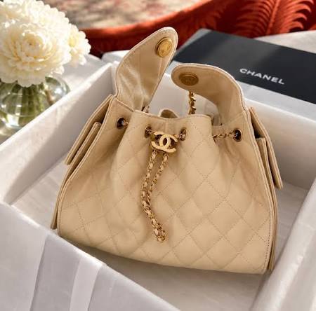 Chanel 25 Hobo with brand box